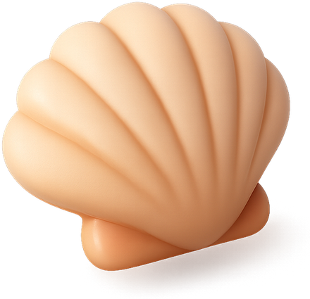 3D seashell
