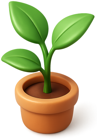 Young plant in a pot